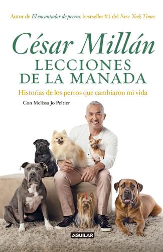 Lecciones de la manada / Cesar Millan's Lessons From the Pack: Historias de los perros que cambiaron mi vida book cover by Cesar Millan