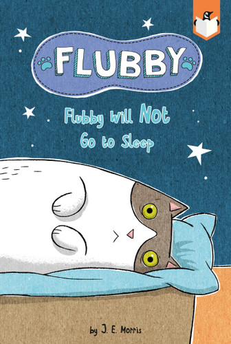 Flubby Will Not Go to Sleep (Flubby) book cover by J. E. Morris