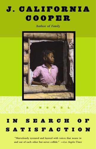 In Search of Satisfaction book cover by J. California Cooper
