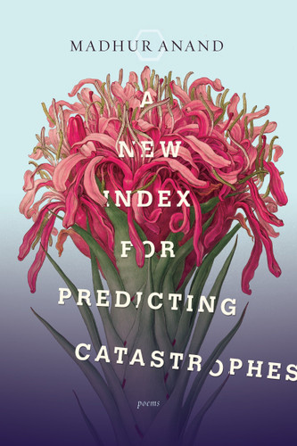 A New Index for Predicting Catastrophes book cover by Madhur Anand