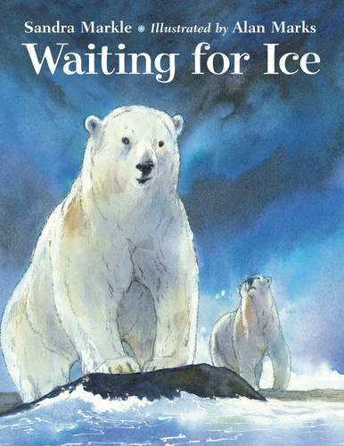 Waiting for Ice book cover by Sandra Markle