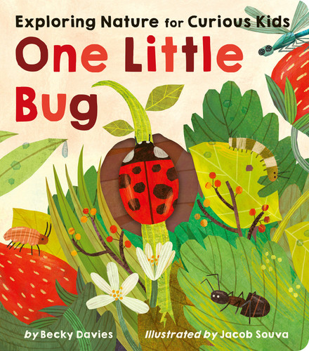 One Little Bug: Exploring Nature for Curious Kids (One Little) book cover by Becky Davies