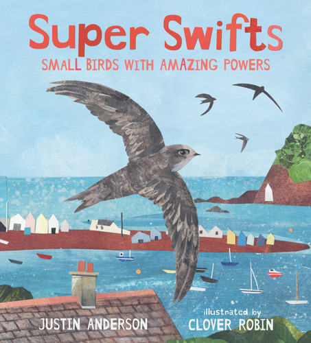 Super Swifts: Small Birds with Amazing Powers book cover by Justin Anderson