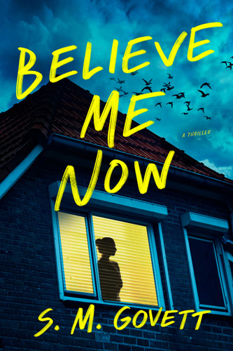 Believe Me Now: A Novel book cover by S. M. Govett