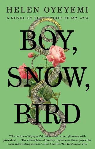 Boy, Snow, Bird: A Novel book cover by Helen Oyeyemi