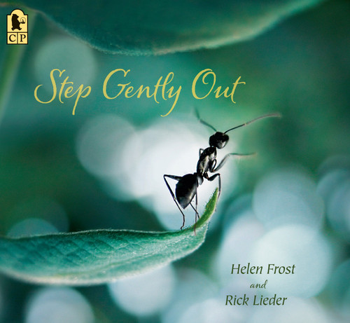 Step Gently Out (Step Gently, Look Closely) book cover by Helen Frost