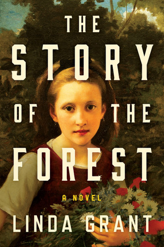 The Story of the Forest: A Novel book cover by Linda Grant