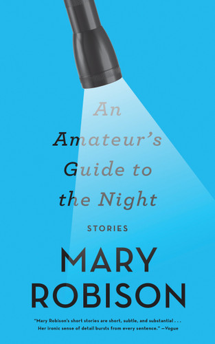 An Amateur's Guide to the Night: Stories book cover by Mary Robison