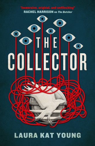 The Collector book cover by Laura Kat Young