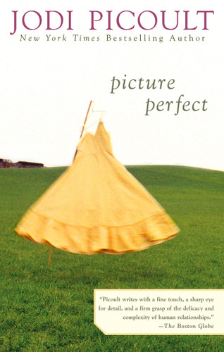 Picture Perfect book cover by Jodi Picoult