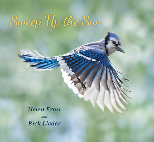Sweep Up the Sun (Step Gently, Look Closely) book cover by Helen Frost