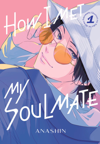 How I Met My Soulmate 1 (How I Met My Soulmate) book cover by Anashin