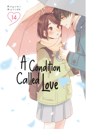 A Condition Called Love 14 (A Condition Called Love) book cover by Megumi Morino