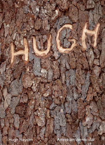 Hugh Hayden: American Vernacular book cover by 