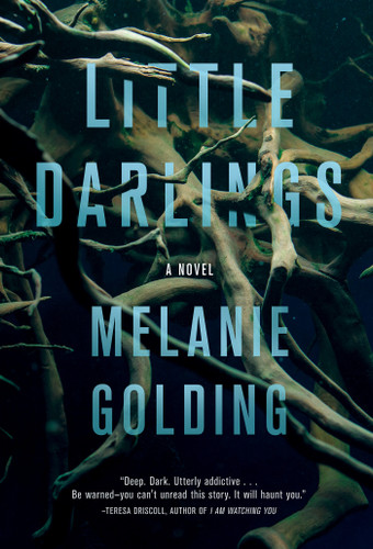 Little Darlings: A Novel book cover by Melanie Golding