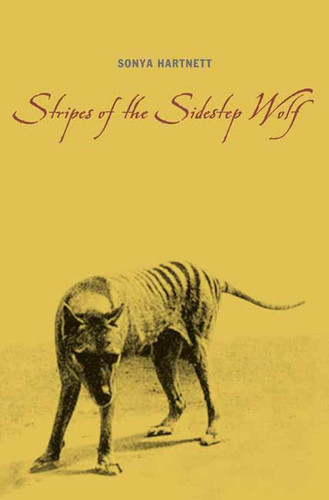 Stripes of the Sidestep Wolf book cover by Sonya Hartnett