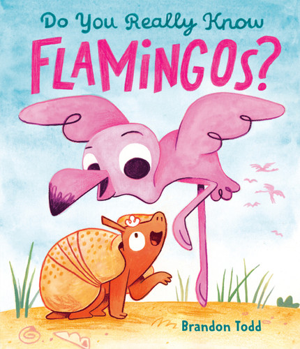 Do You Really Know Flamingos? book cover by Brandon Todd
