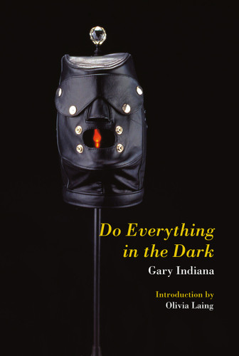 Do Everything in the Dark book cover by Gary Indiana