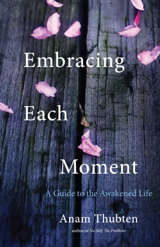 Embracing Each Moment: A Guide to the Awakened Life book cover by Anam Thubten