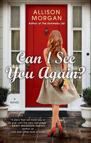 Can I See You Again? book cover by Allison Morgan
