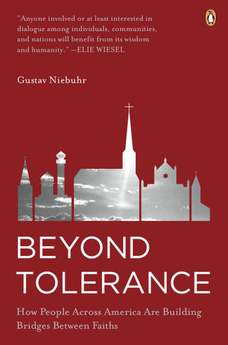 Beyond Tolerance: How People Across America Are Building Bridges Between Faiths book cover by Gustav Niebuhr