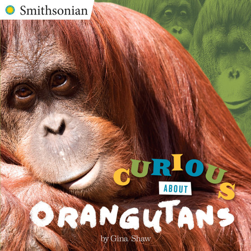 Curious About Orangutans (Smithsonian) book cover by Gina Shaw