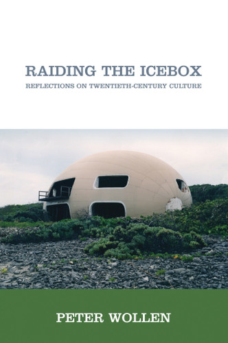 Raiding the Icebox: Reflections on Twentieth-Century Culture book cover by Peter Wollen