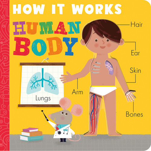 How it Works: Human Body (How It Works) book cover by Amelia Hepworth