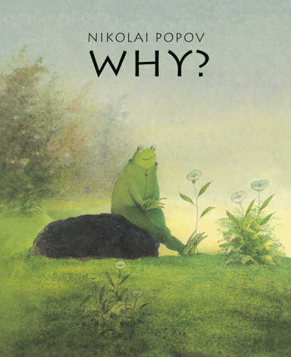 WHY?: A Timeless Story Told Without Words book cover by Nikolai Popov