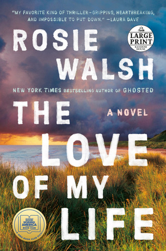 The Love of My Life: A GMA Book Club Pick (A Novel) book cover by Rosie Walsh