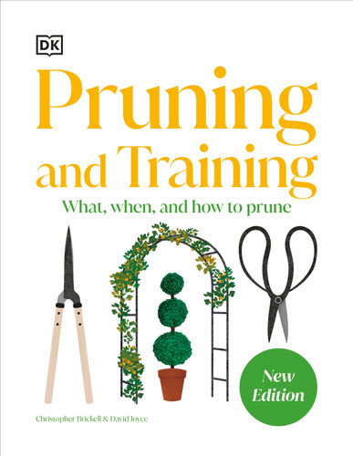 Pruning and Training: What, When, and How to Prune book cover by DK