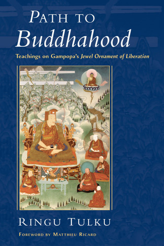 Path to Buddhahood: Teachings on Gampopa's Jewel Ornament of Liberation book cover by Ringu Tulku