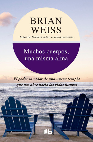 Muchos cuerpos, una misma alma / Same Soul, Many Bodies book cover by Brian Weiss