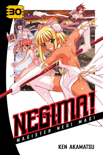 Negima! 30: Magister Negi Magi (Negima!) book cover by Ken Akamatsu