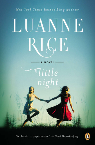 Little Night: A Novel book cover by Luanne Rice