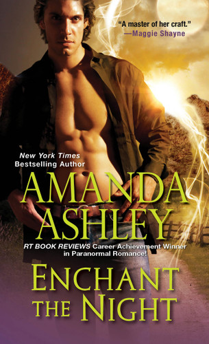Enchant the Night (The Enchant Series) book cover by Amanda Ashley