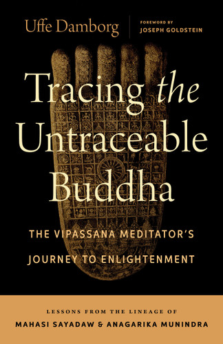 Tracing the Untraceable Buddha: The Vipassana Meditator's Journey to Enlightenment book cover by Uffe Damborg
