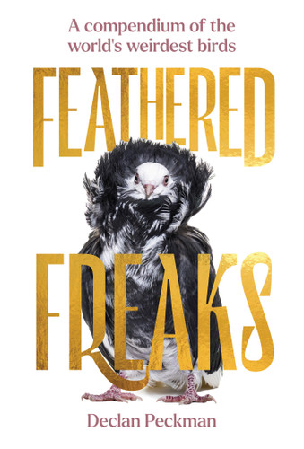 Feathered Freaks: A Compendium of the World's Weirdest Birds book cover by Declan Peckman