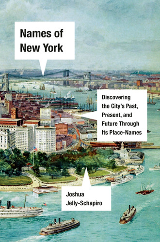 Names of New York: Discovering the City's Past, Present, and Future Through Its Place-Names book cover by Joshua Jelly-Schapiro