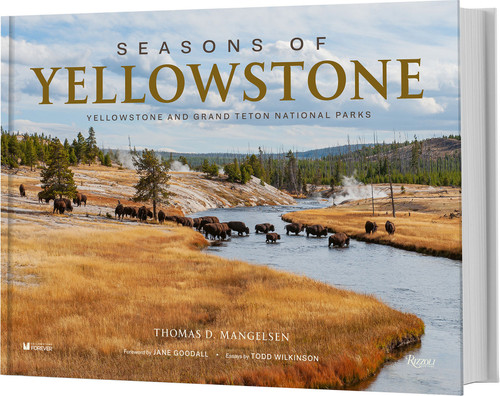 Seasons of Yellowstone: Yellowstone and Grand Teton National Parks book cover by 