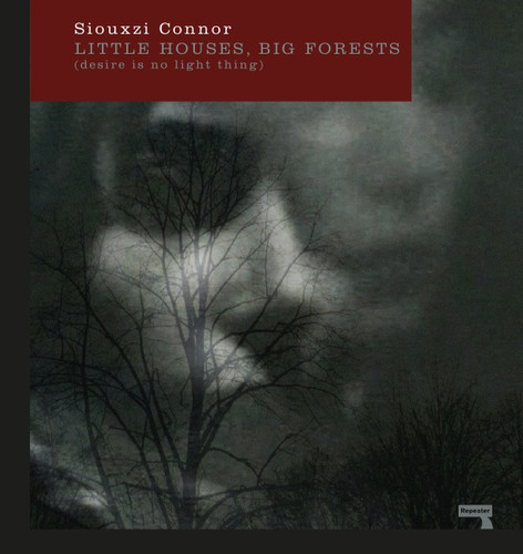 Little Houses, Big Forests: Desire Is No Light Thing book cover by Siouxzi Connor
