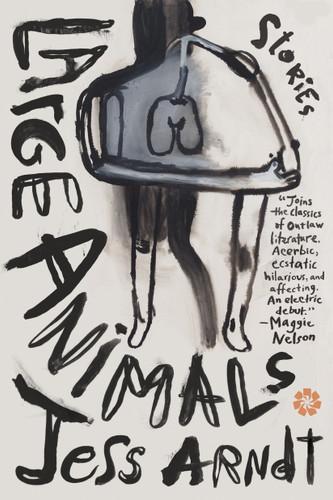 Large Animals: Stories book cover by Jess Arndt