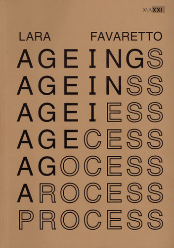 Aging Process book cover by Lara Favaretto