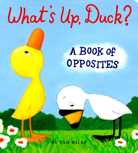 What's Up, Duck?: A Book of Opposites (Duck & Goose) book cover by Tad Hills