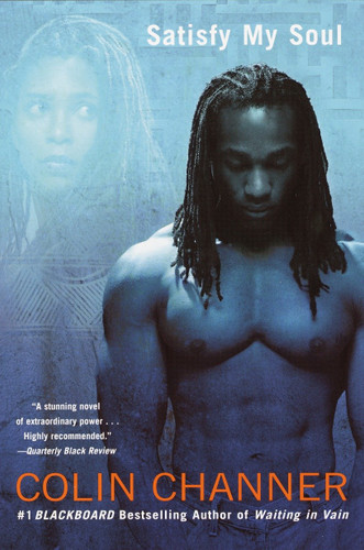 Satisfy My Soul book cover by Colin Channer