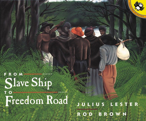 From Slave Ship to Freedom Road book cover by Julius Lester