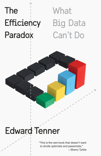 The Efficiency Paradox: What Big Data Can't Do book cover by Edward Tenner