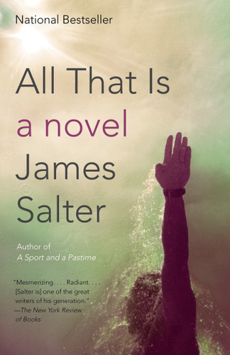 All That Is: A Novel (Vintage International) book cover by James Salter