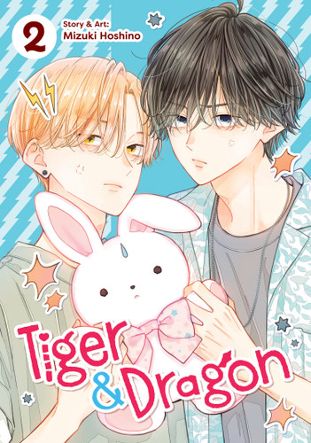 Tiger and Dragon Vol. 2 (Tiger and Dragon) book cover by Mizuki Hoshino