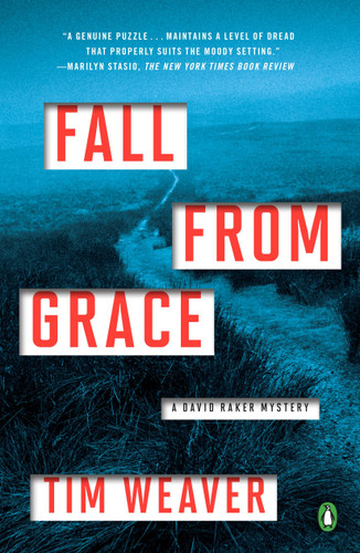 Fall from Grace: A David Raker Mystery (A David Raker Mystery) book cover by Tim Weaver